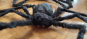 Halloween - Pająk duży na pajęczynie