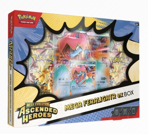 Box pokemon wzór losowy